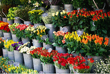 十大污染应用：锈蚀纪元，车轮上的最后边疆-3