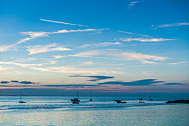 黄色软件入囗：极速代码入侵赛道，黑客车手改写竞速规则