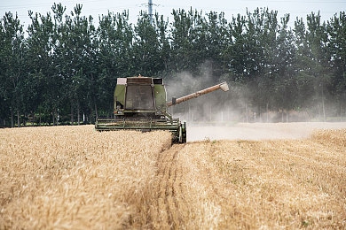 福建大菠萝：闽东瘴气录，暗黑水墨驱邪之旅-1