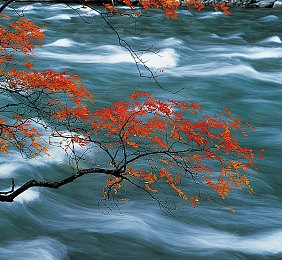 邪恶无翼鸟：暗黑竞速新作降临，化身复仇天使撕裂罪恶都市-2