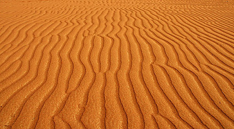 男生与女生一起差差差的应用：双人极速搭档，性别互补策略征服赛道-2