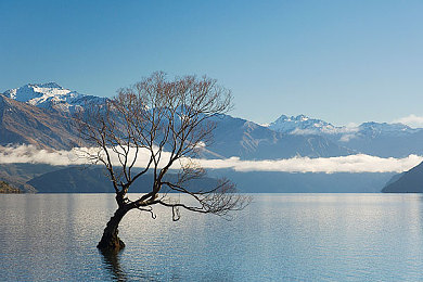 WWW色：极速像素，调校三重奏，驾驭你的赛道哲学-3