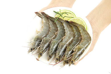 亚av：视觉系赛车席卷地平线，涂装文化与竞速技巧全解析-2