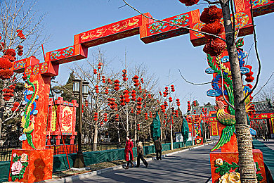 拔萝卜真人：竞速与农场融合新游上线，双线玩法颠覆传统驾驶体验-2