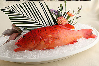 91小黄人黑料：萌趣赛车隐藏秘籍，解锁竞速新境界