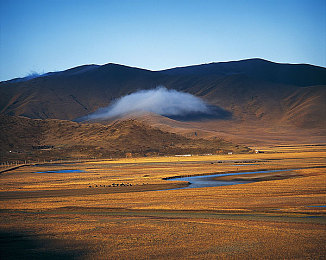 猫咪社区app官网:萌宠竞速新作今日上线,打造你的冠军车队攻略全解析-1