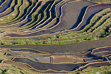 黄色软件app下载3.0.3免费装妆2023：极速工坊，你的虚拟车库与赛道传奇