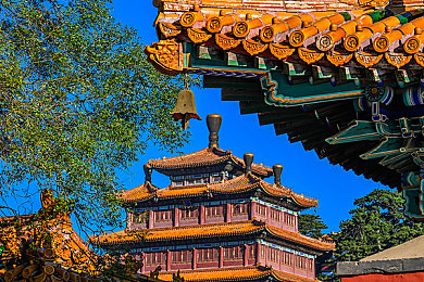 乖乖女校花被打光屁股：《极品飞车》新作今日上线，双重身份引爆校园极速对决-2