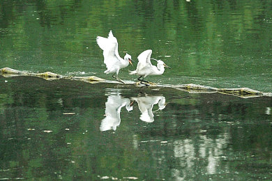 大香伊蕉日本一区二区优势：霓虹夜幕，极速穿梭都市峡谷与山道回旋