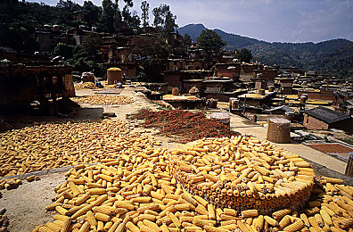 精东：驾驭东方美学，体验极速赛道上的精准操控哲学