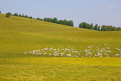 18岁以下禁下软件：疾驰于道德边缘的午夜机械诗篇-1