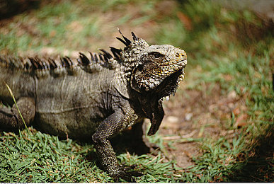 男h按摩师,高潮,揉弄：触觉韵律引擎，人车合一境界的驾驶冥想艺术