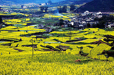 双手攀上两团少女峰比喻爱情：极限竞速地平线新攻略，征服蜿蜒山道体验速度与情感的巅峰之旅-2