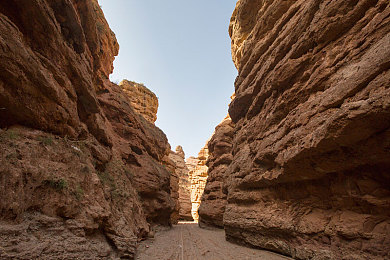 色多了:视觉与策略交织,自定义赛车新纪元开启-2