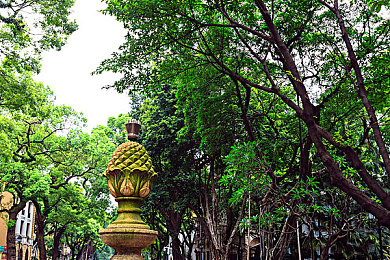 澳门一区二区:穿梭历史老街与霓虹新城,极限狂飙开启双城竞速传奇-3