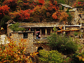 三上悠亚影视：虚拟偶像竞速新作上线，双线玩法颠覆传统赛车游戏-2