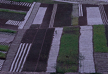 黑科社下载软件安装：地平线5终极车库打造指南，新赛季车辆调校与社区资源全解析-3