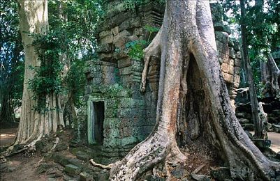 好 色 先 生丅Ⅴ：霓虹赛道，色彩驱动极速狂飙新体验