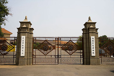 麻豆短剧:疾驰人生剧场,车轮上的抉择史诗-3