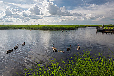 男生女生差差APP很痛：极速对决性别赛道，差异化驾驶体验开启竞速新策略-4