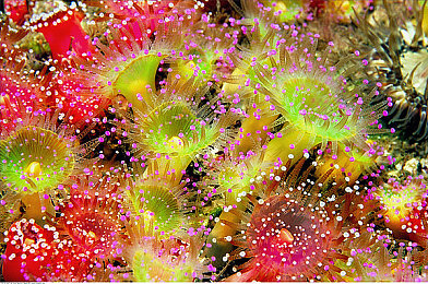 自由场景性别成熟性成熟性别自由：极速旅程，自定义你的驾驶身份与车辆灵魂