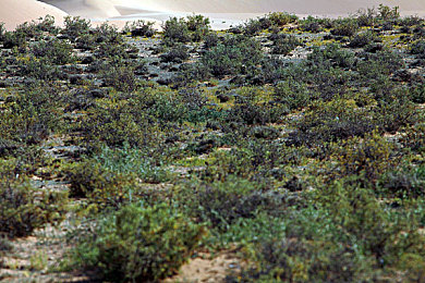 三上悠亚公公：经典赛车改装传奇，继承家族热血竞速之旅-2