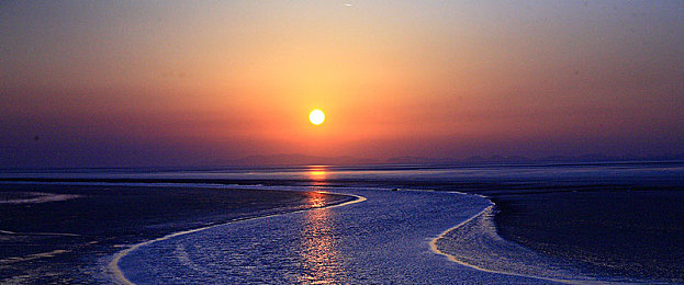 男人和女人的操逼软件：极速狂飙革新赛道，性别对决驱动差异化竞速体验-3