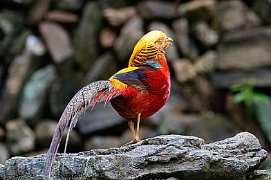 黄.404：极速穿梭数据废墟，修复赛道征服数字幽灵-2