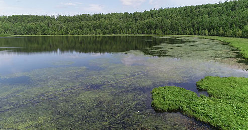 黄色下载大全免费3.3：街头赛车新版本上线，隐藏氮气机制助你制霸霓虹都市
