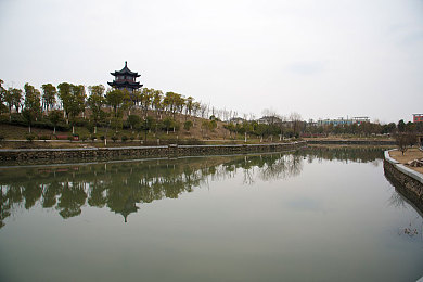 gay帅哥1069：霓虹涂装下的极速诗篇，性能与美学的竞速协奏曲-2