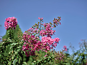 男人和女人一起羞羞羞的app：双轨同心今日公测，心跳同步驾驶革新合作竞速体验-2