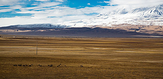 十大黄网：征服金色沙丘，极限竞速地平线沙漠赛道终极攻略揭秘-2