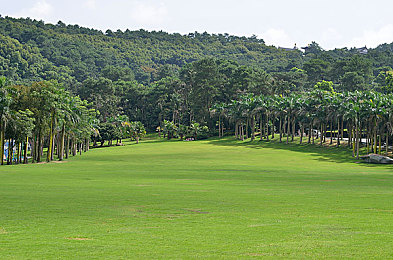 按摩师扒开腿按摩花蒂：引擎调校的艺术，在毫厘之间释放赛车极限性能