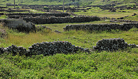 男孩把坤坤：虚拟偶像与极速引擎的共舞之旅-2