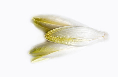 导航福利视频：极限竞速地平线5隐藏车辆全攻略，探索墨西哥获取稀有奖励-1