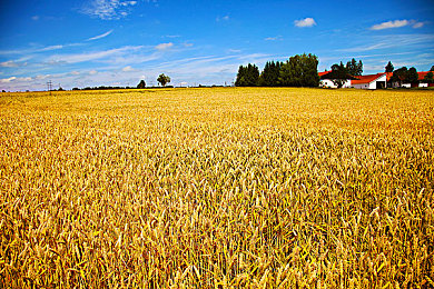 女生和男生擦擦擦APP:霓虹阵营竞速,未来赛道性别策略对决-1