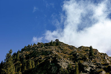 女生和男生差差差app:极速差异双模式竞速,驾驭风格切换征服赛道-3