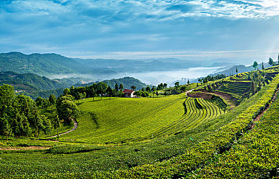 4399日本最好看的电影:像素竞速新作上线,东京赛道演绎动态浮世绘美学-2