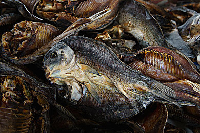 生活中的玛丽经典k8经典k8：当像素赛车驶入现实，复古驾驶哲学唤醒纯粹竞速之魂-3