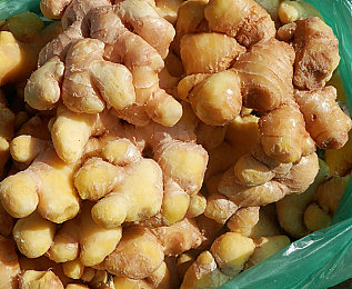 成人富二代:《极限竞速地平线5》新体验,虚拟继承豪车库开启墨西哥竞速人生-3