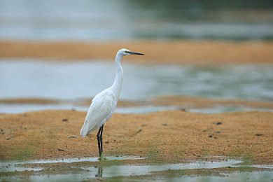 黄色软件App下载3.0.3免费下载2023：街头极速传说，改装狂飙与都市暗影的交锋-3