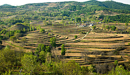 蜜桃成人Av:霓虹都市,极速幻影,成人级竞速之旅-2