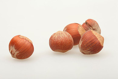 时间静止学院1~4顺序：刹那永恒，极速谜境穿梭者