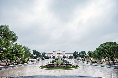 黄色软件下载oppo版免费大全安装吗苹果：跨平台竞速游戏指南，安卓苹果设备畅玩攻略-4