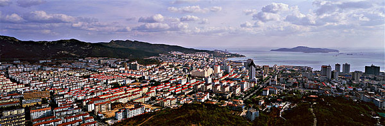 打扑克的剧烈运动：极速牌局，狂飙策略的脑力竞速盛宴-2