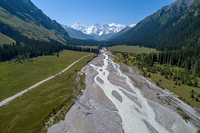 秋霞麻豆天美：东方美学赛道，霓虹夜幕下的极速定制之旅-2