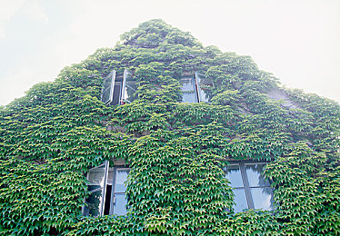 男女最爱网站：墨西哥画卷中的极速诗篇，自由驰骋的虚拟假日-2