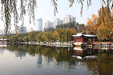 猫咪官网：驾驭未来战车，在霓虹数据洪流中竞速黑客-3