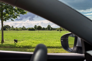 软件黄色导航：穿越隐迹，墨西哥荒野中的动态路径密语-2