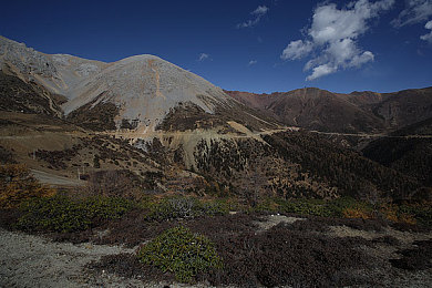 黄色3.0.3免费OPPO版破解大全免费下载：极速狂飙，都市闪电联赛，改装竞速新纪元